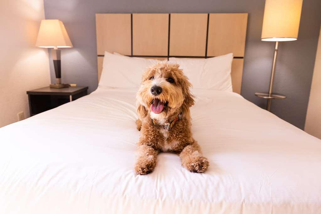 Sonesta Simply Suites Cleveland North Olmsted Airport Εξωτερικό φωτογραφία
